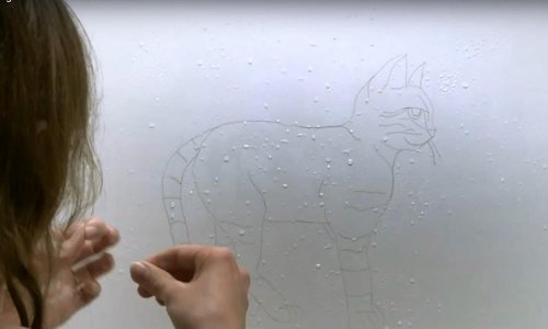 Ova umjetnica svoja djela izrađuje od – pale kose!