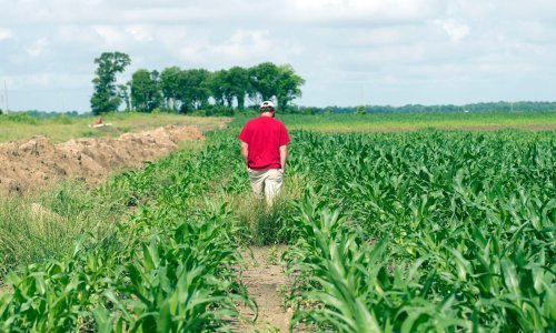 SAD i 15 drugih država žale se WTO-u: Europska regulacija  pesticida ugrožava poljoprivrednike diljem svijeta