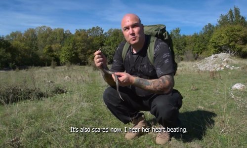 Splitski avanturist objašnjava kako prepoznati poskoka