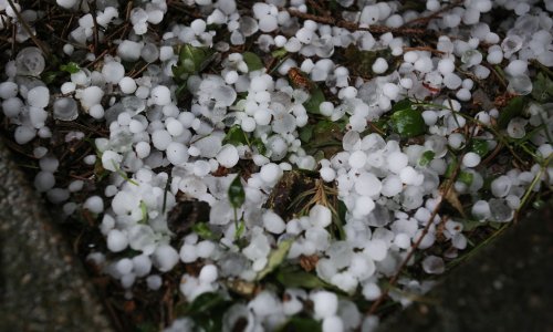 U dvije općine na bjelovarskom području zbog tuče proglašena elementarna nepogoda