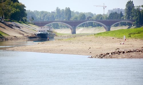 Kupa u Sisku toliko je niska da će je se uskoro moći pregaziti