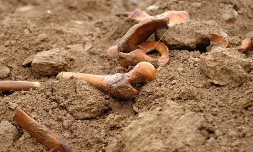 U dubokoj jami našli ljudske kosti. Je li riječ o ženi nestaloj 1983?