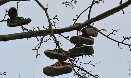 Na internetskoj prodaji krivotvorenih tenisica zaradili gotovo 1,8 milijuna kuna