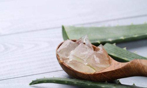Razbijen mit: Upitna je učinkovitost aloe vere kod opeklina od sunca