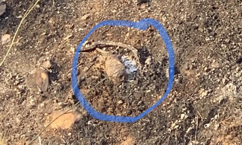 [VIDEO] Ovo je mjesto s kojeg je krenuo požar u Splitu, kamere snimile automobil iz kojeg je netko bacio bocu?