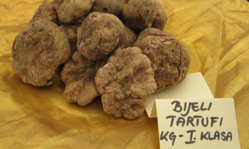 Talijan švercao šest kilograma bijelih tartufa
