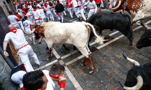 Deseci ozlijeđeni u utrci s bikovima u Španjolskoj