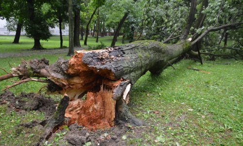 Zbrajaju se štete od nevremena u Zagorju, stiglo 70-ak dojava