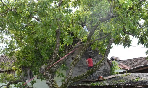 Epilog nevremena u Vukovarsko-srijemskoj županiji: Jedna osoba teško ozlijeđena, dvije lakše