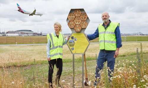 U Hamburgu pokraj zračne luke sagrađen hotel za pčele!