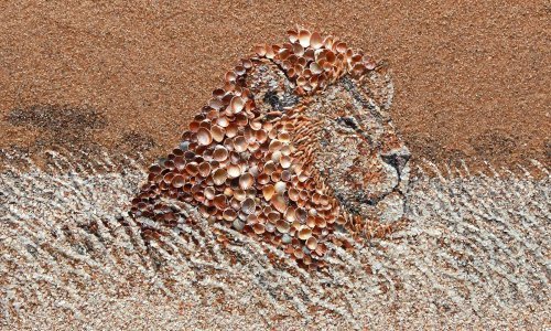 Nikad kraja neobičnoj umjetnosti – ova Ukrajinka slaže slike od kamenja!