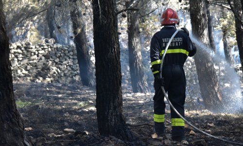 [VIDEO] Vatrenu stihiju na Zrću pod kontrolu stavili kanaderi, vatrogasci spasili najstariji klub na plaži