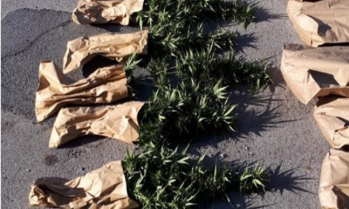 Na graničnom prijelazu Klek pronađeno gotovo 14 kilograma marihuane