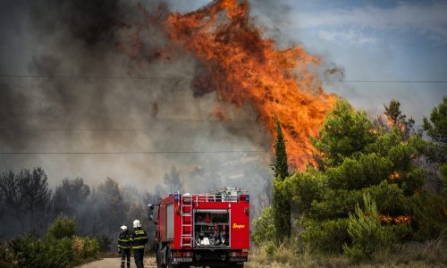 Policija uhitila ženu za koju sumnja da je podmetnula požar kod Šibenika. Nije joj prvi puta, 2017. je izazvala sedam požara