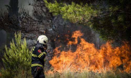 Optužena žena koja je kod Šibenika podmetnula najveći ovogodišnji požar u Hrvatskoj