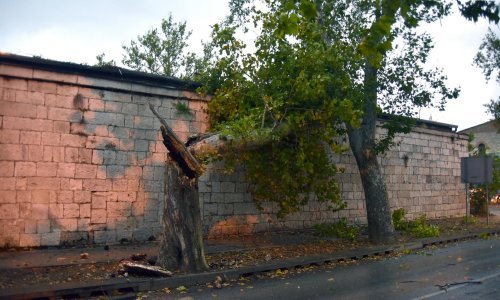 [FOTO] Nevrijeme pogodilo Istru, vjetar u Puli lomio stabla