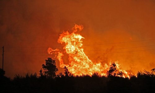 Grčka oglasila crveni alarm zbog opasnosti od šumskih požara