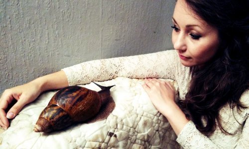 Netko ima mačku, netko psa, a ova Poljakinja drži gigantskog puža kao kućnog ljubimca