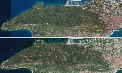 Google objavio nove snimke Marjana kojeg je pokosio potkornjak. Šteta je katastrofalna