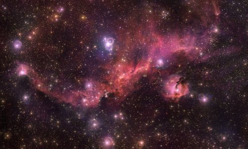 Astronomski izazov: Prepoznajte galeba na ovoj slici svemirske maglice i odgovor podijelite na društvenim mrežama