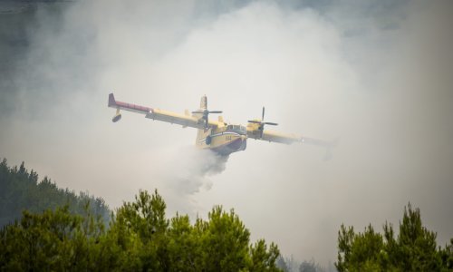 Požar kod Skradina pod nadzorom