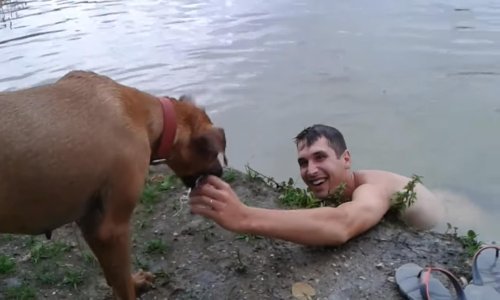 S ovim se psom nitko ne može utopiti