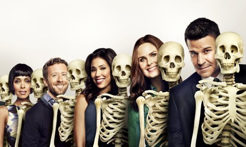 Čini vam se kako se ova serija na malim ekranima vrti već cijelu vječnost? U pravu ste, traje više od desetljeća