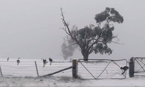 Australiju smrzla ledena oluja, u  nekim dijelovima najviše snijega u zadnjih 20 godina