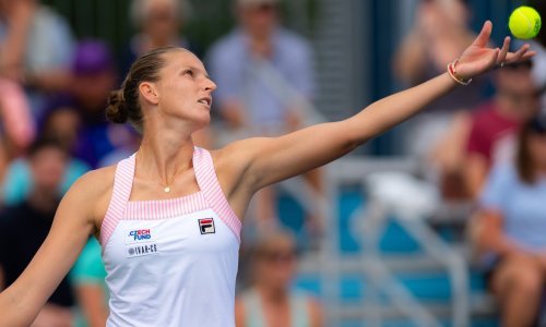 Najuspješnija teniska reprezentacija u ovom desetljeću zasluženo dobila poziv