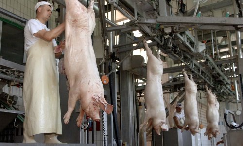 Na mirovinskom zavodu ponovo manje od 1,6 milijuna osiguranika