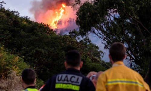 Zbog požara na Gran Canariji evakuirano 4.000 ljudi