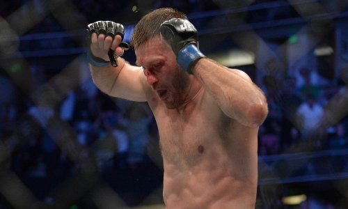 UFC objavio honorare; nitko po zaradi ni blizu novom teškaškom prvaku Stipi Miočiću