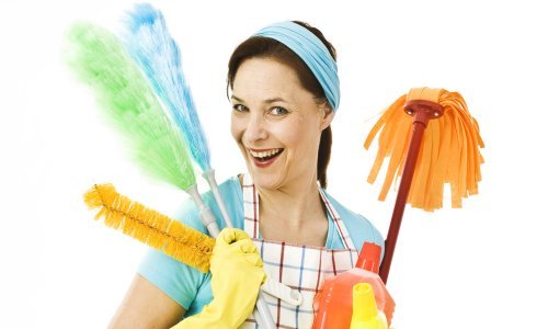 U vladavini Djevice bacite se na spremanje i čišćenje, a suzbijte sklonost kritici