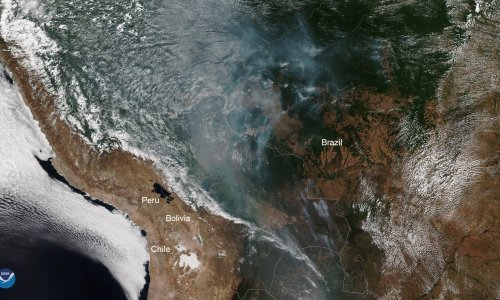 Gori Arktik, gori Amazonija: Posljedice golemih šumskih požara bit će globalne i katastrofalne