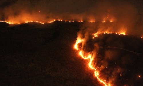 Znanstvenici otkrili što je pomoglo širenju katastrofalnih požara u Amazoniji