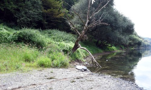 Vozač kombija s migrantima još u bijegu, na Bajakovu uhićene tri osobe