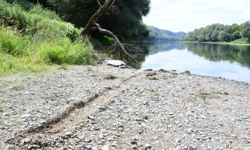 Odbjegli vozač kombija koji je ostavio migrante da tonu u Kupi, priveden u sisački zatvor