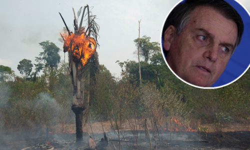 Bolsonaro uveo zabranu spaljivanja šume