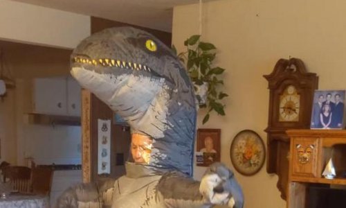 Neke bake jednostavno nisu za heklanje i rješavanje križaljki