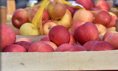 Vučković: Voćarima je potrebno jače udruživanje