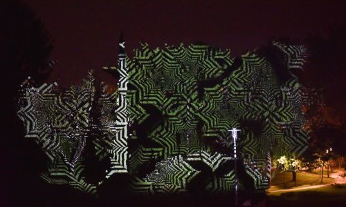 Španjolski umjetnik na poseban način osvijetlio krošnje parka Ribnjak