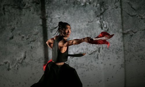 Nadahnuto i duhovito: Naprosto sjajan spoj tradicionalnih kineskih borilačkih vještina i suvremenog plesa