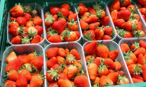 Pazite što jedete, na vrhu liste najzagađenijeg voća i povrća su - jagode