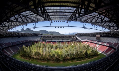 Sjajna instalacija: Na travnjak stadiona u Klagenfurtu presađeno preko 300 stabala