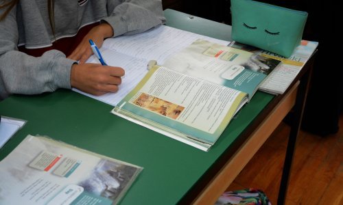 Ravnatelj škole vrši pritisak na učitelje i profesore da odustanu od štrajka