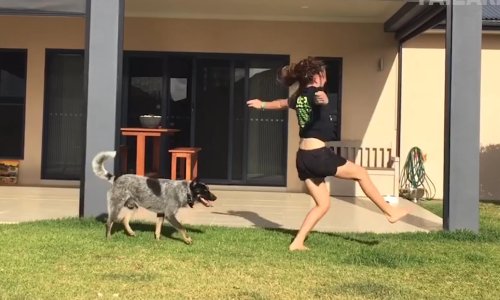 Nasmijava vas tuđi peh? Imamo pravu stvar!