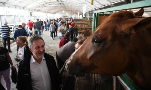 Škoro o Grabar Kitarović: Postoji njen stožer, ima šefa stožera, no nema onog tko je najavio kandidaturu