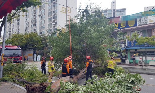 Koreji glavobolju zadaje tajfun Linling, poginule tri osobe