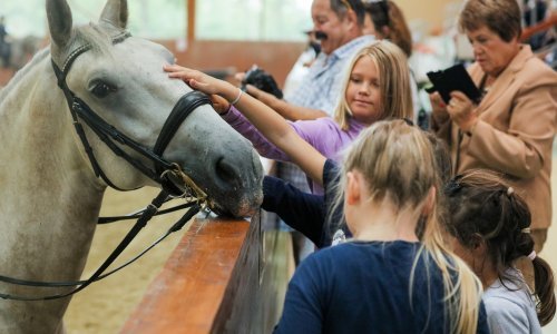 [FOTO] Ergela Đakovo proslavila svoj dan, veličanstveni konji očarali sve posjetitelje