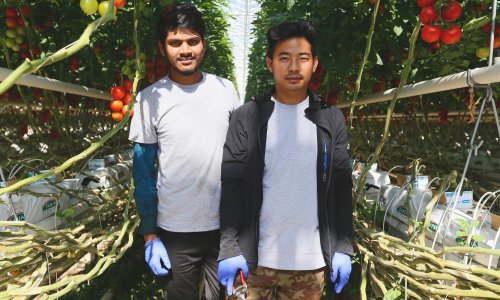 Poslodavci traže: Novi Zakon o strancima mora biti fleksibilan